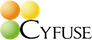Cyfuse Biomedical K.K.